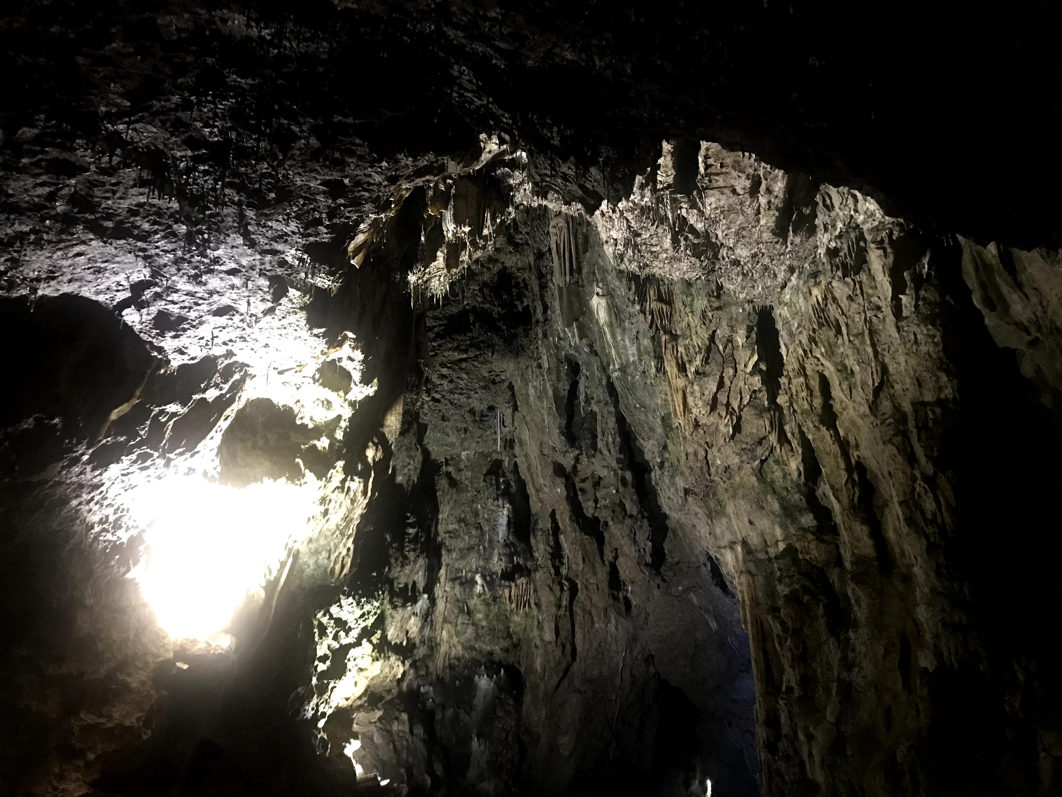 A cave ceiling being lit up with a white light.